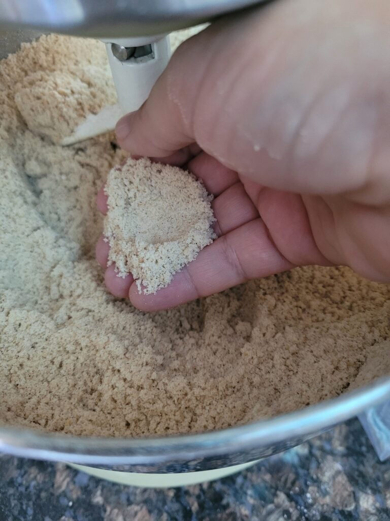 Sandy texture of gingerbread cookie dough before wet ingredients are added